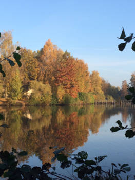 Vancouver - Herfst foto's in de morgen