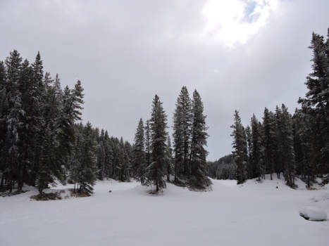 Jasper National Park - Prachtige natuur valkbij het Maligne lake. Indrukwekkend mooi!