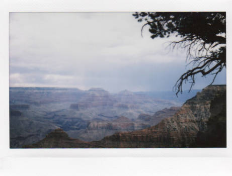Grand Canyon - Endless polaroid
