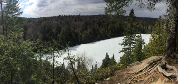 Algonquin provincial park