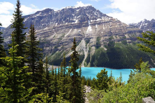 Lake Peyto - Turqois beauty