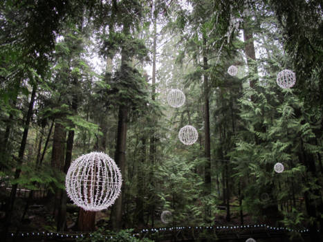 Vancouver - Capilano suspension bridge Vancouver