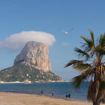 Toronto - Seagull heaven