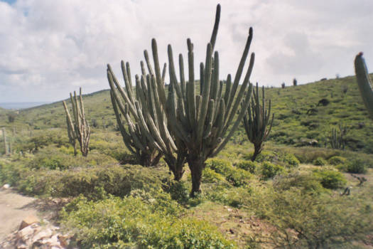 Toronto - Nostalgic View