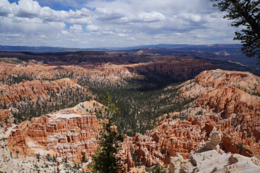 Grand Canyon - Something strange awaits.