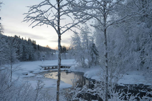 Canada - Winter in lapland -26°