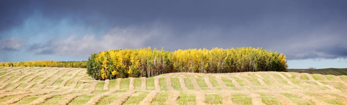 Canada - Sunny Alberta