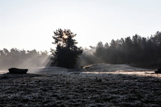 Canada - Morning at the Mechelse heide