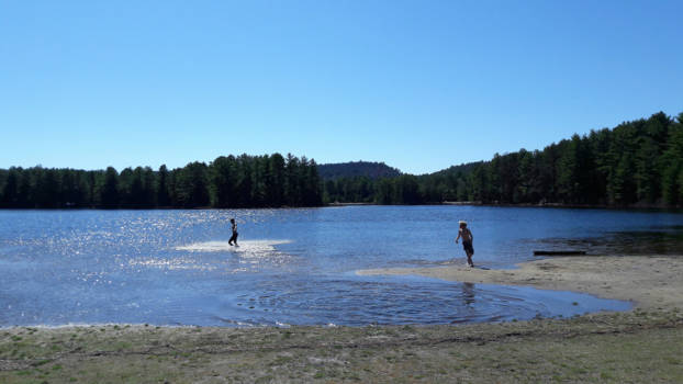 Algonquin provincial park - Algonquin beach all alone