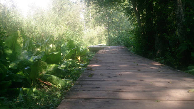 Canada - Op weg naar het avontuur.