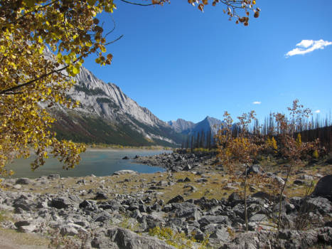 Jasper National Park - Jasper