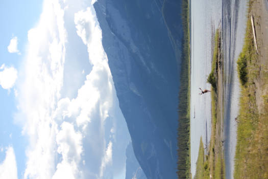 Banff National Park - Patronus van Harry Potter