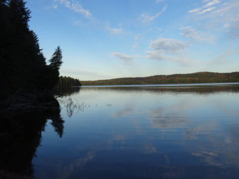 Canada - linksaf of rechtsaf, welke kant wijzen de bomen op?