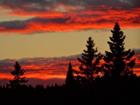 Canada - indian summer in de lucht