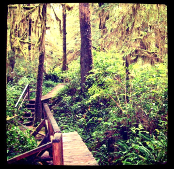 Vancouver Island - Tofino