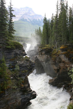 Jasper National Park - Water from the mountain