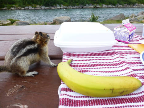 Jasper National Park - Lunch...