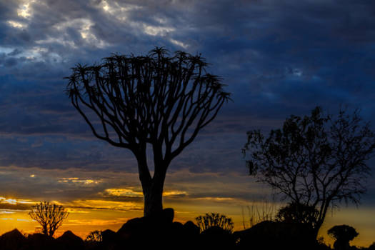 Niagara Falls - Reizen is een sprookje