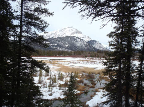 Banff National Park - Wandeling langs het dorpje Banff