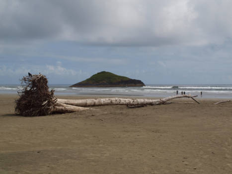 Canada - Long Beach - Tofino at Vancouver Island