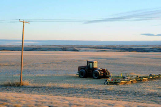 Canada - East to west, a cold moment on the praries