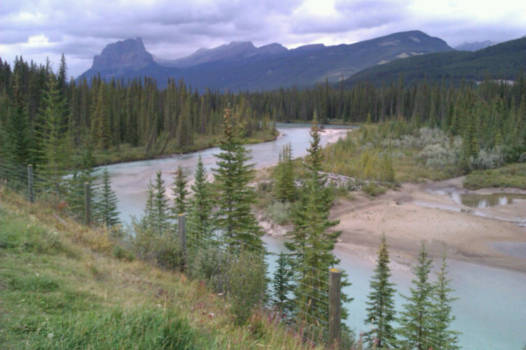 Jasper National Park - Kicking horse river