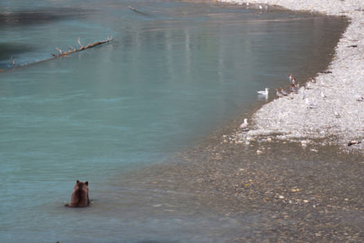 Vancouver Island - Relaxing