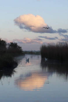 Vancouver - Fly fly a way...