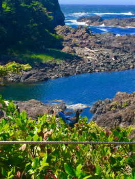 Vancouver Island - Indrukwekkend!