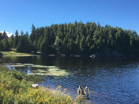 Victoria (Canada) - King Edward Canada