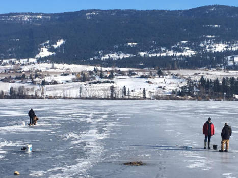 Kelowna - woodlake winter time