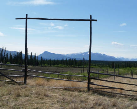 Canada - De mooie bergen op de achtergrond bij whitehorse