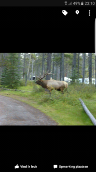 New Brunswick - Bezoek op de camping