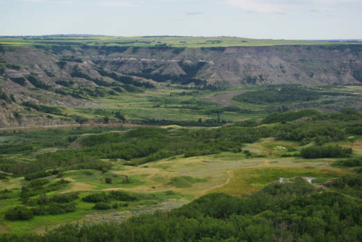 Calgary - Dry Island Buffalo jump prvincial park prachtig deco voor een western movie.