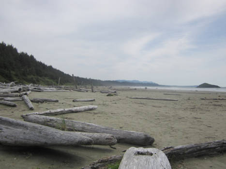 Tofino - long beach Tofino