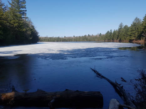 Algonquin provincial park - Winter meets summer