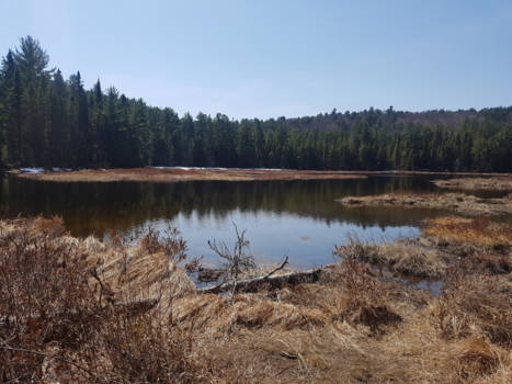 Algonquin provincial park