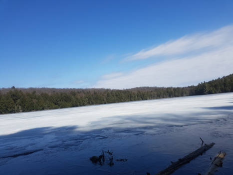 Algonquin provincial park