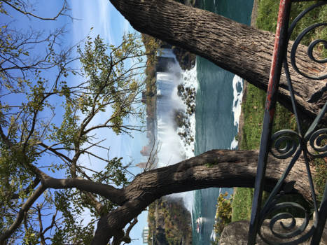 Canada - Peace and me & my family