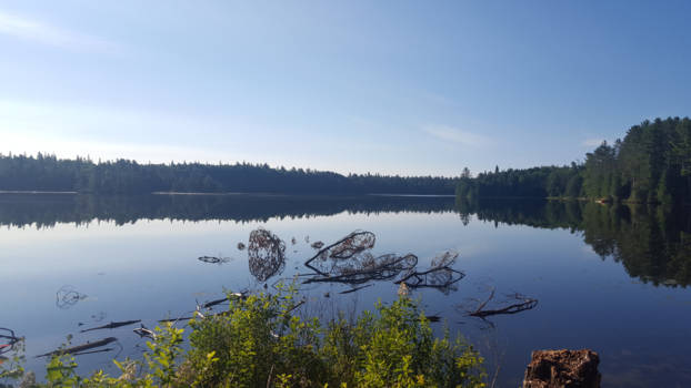 Algonquin provincial park