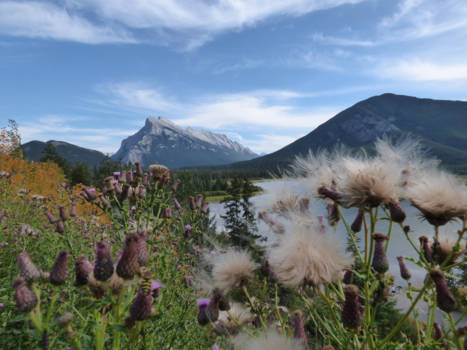 Banff National Park - Land van bergen en meren