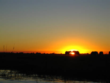 Canada - Beauty of love in nature