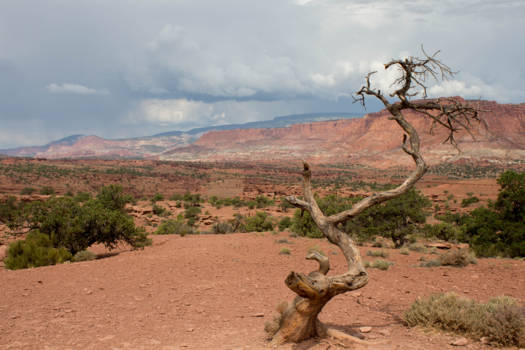 Verenigde Staten - Captiol Reed National Park