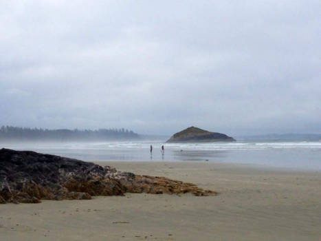 Tofino - Foggy coast