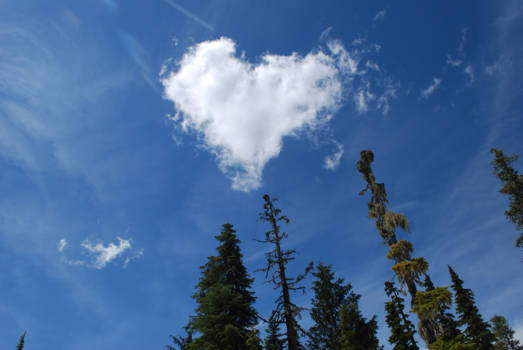 Canada - Onze liefde voor Vancouver Island