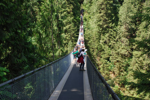 Canada - Suspension Bridge, Vancouver
