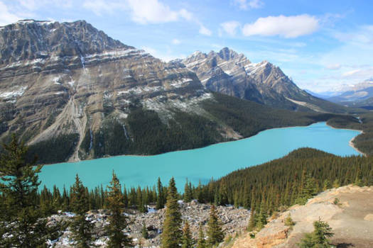 Banff National Park - Peyto Lake, Banff National Park, Canada