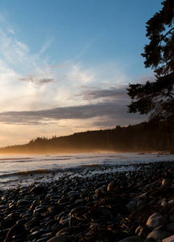 Vancouver Island - evening mist on Sombrio beach