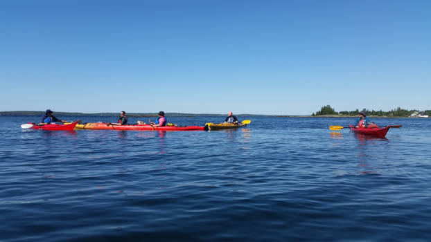 Nova Scotia - Looking for baby seals