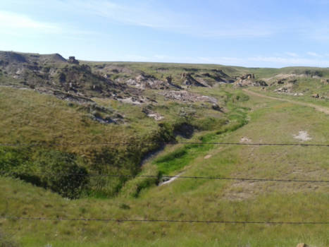 Canada - hays